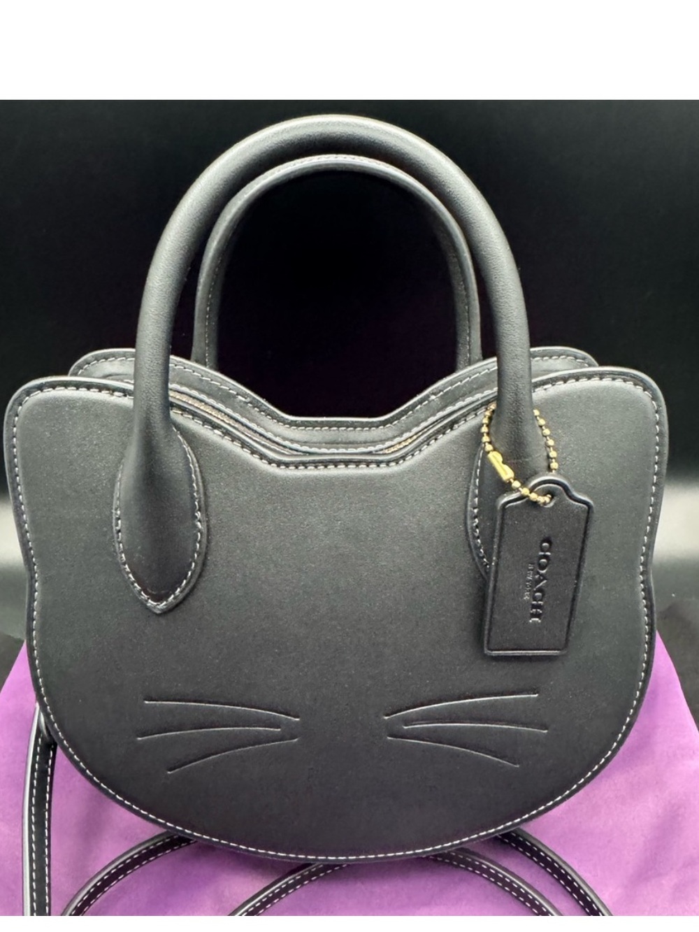 Coach 2025 Cat Leather Crossbody Bag EUC
